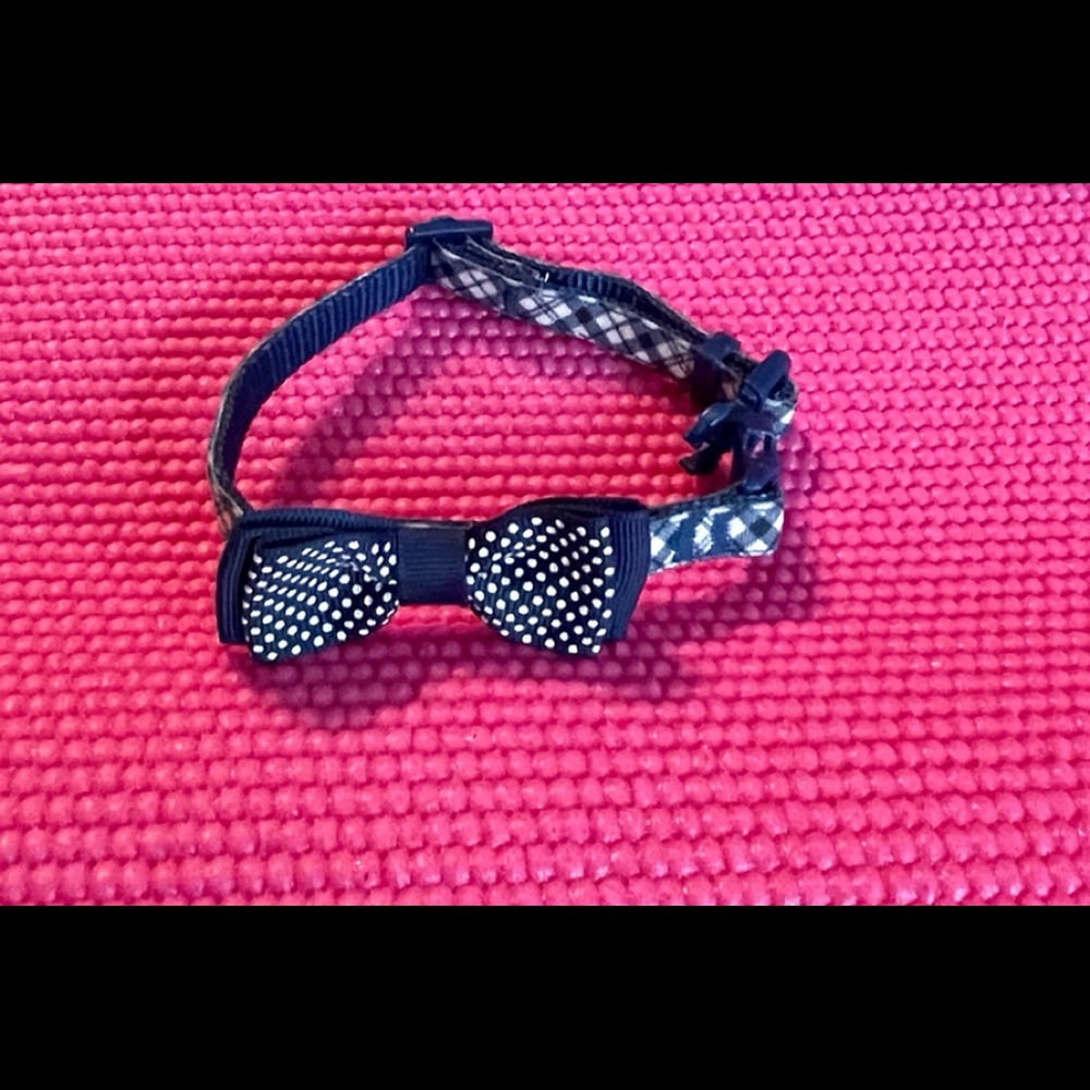 Tiny Dog collar - 9” long extended.  NWOT
